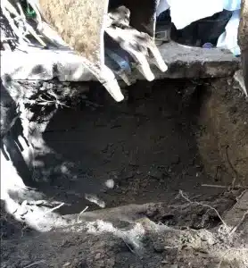 oil tank removal jersey city